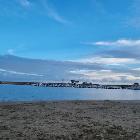 Mimosa Torrevieja